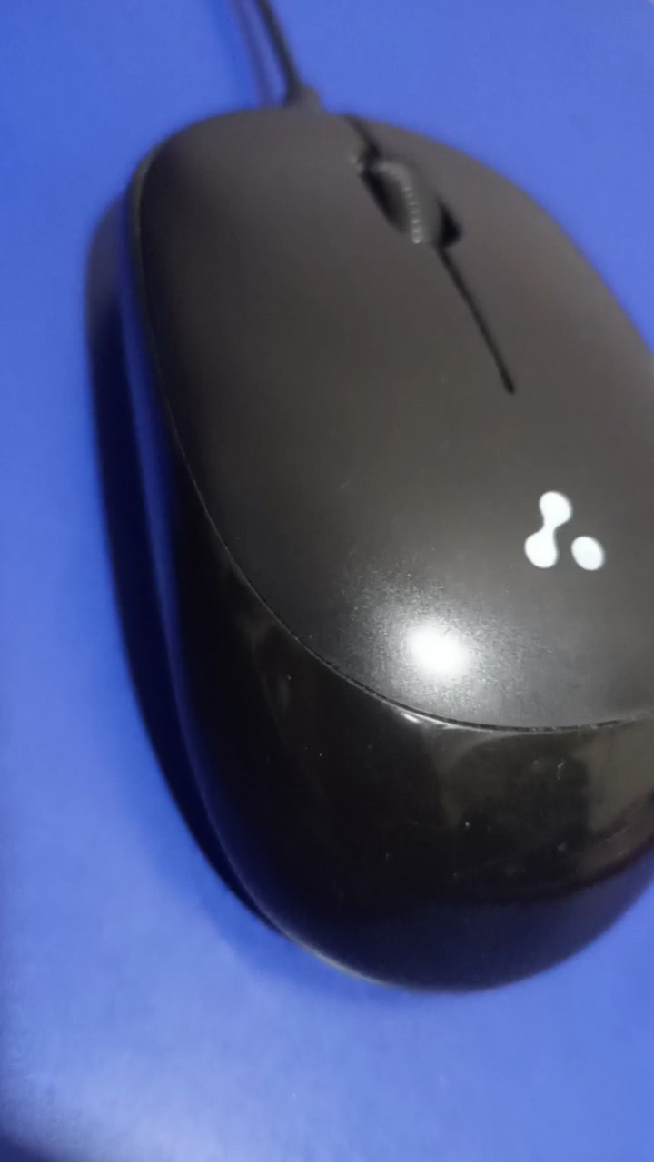 Mouse