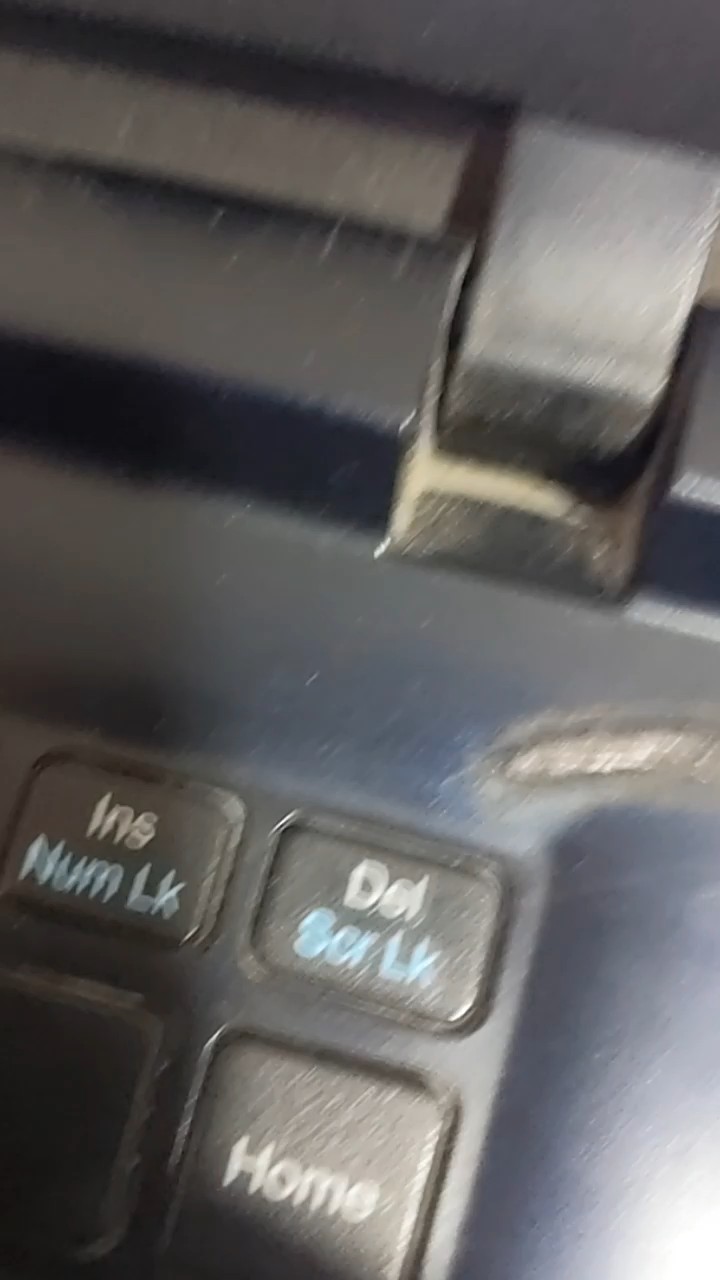 Bxbx